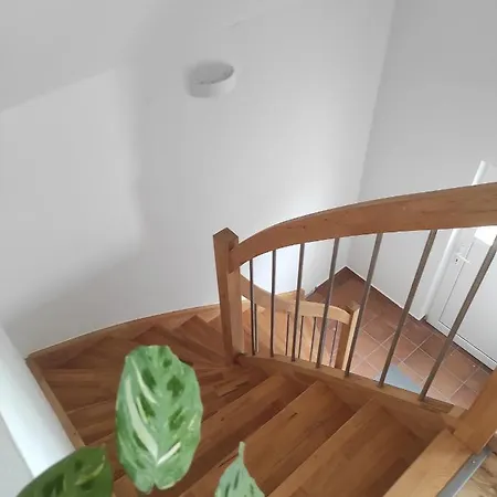 Ferienwohnung Im Distelweg Scheid  Exterior foto
